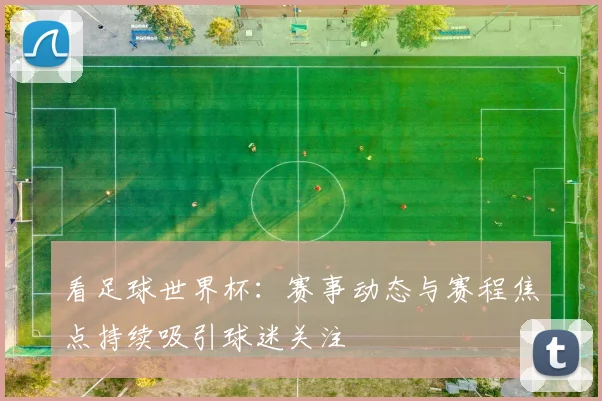 看足球世界杯：赛事动态与赛程焦点持续吸引球迷关注