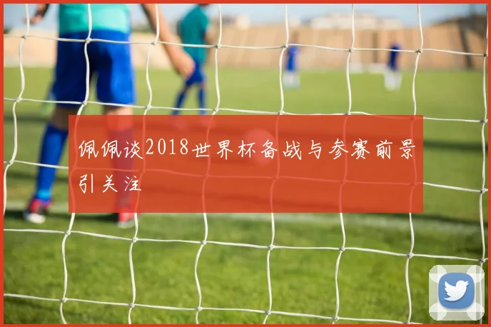 佩佩谈2018世界杯备战与参赛前景引关注