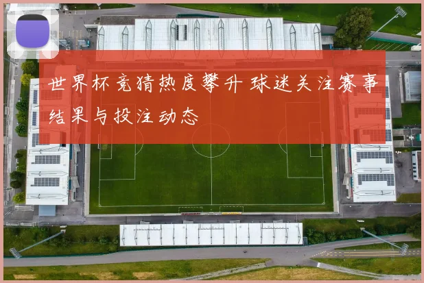 世界杯竞猜热度攀升 球迷关注赛事结果与投注动态