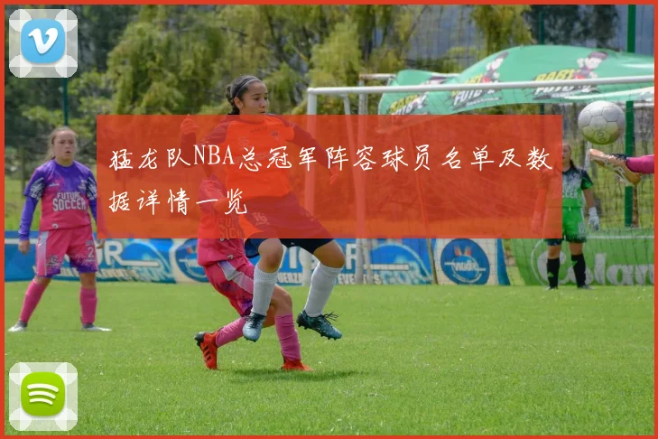 猛龙队NBA总冠军阵容球员名单及数据详情一览