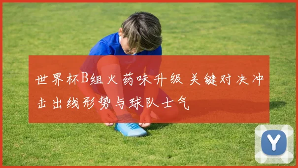 世界杯B组火药味升级 关键对决冲击出线形势与球队士气