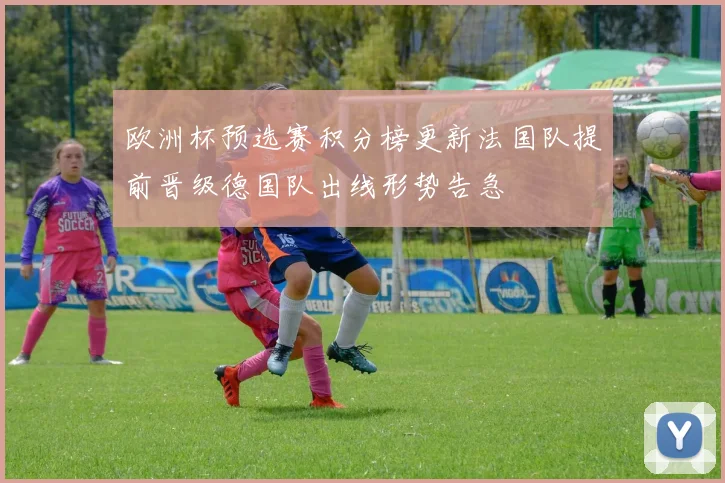 欧洲杯预选赛积分榜更新法国队提前晋级德国队出线形势告急