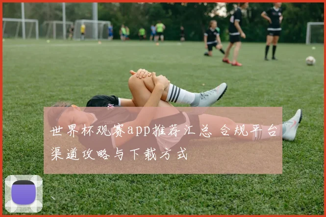 世界杯观赛app推荐汇总 合规平台渠道攻略与下载方式
