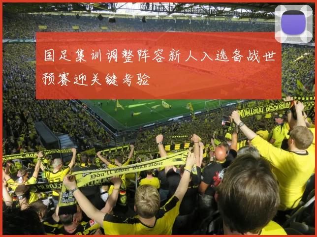 国足集训调整阵容新人入选备战世预赛迎关键考验
