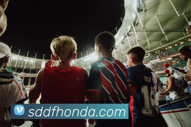 开云app在线网页版入口全站App